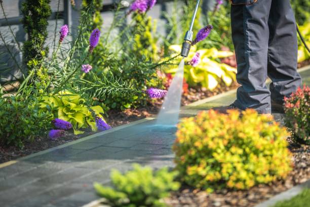 Best Residential Pressure Washing in Fairfield Beach, OH